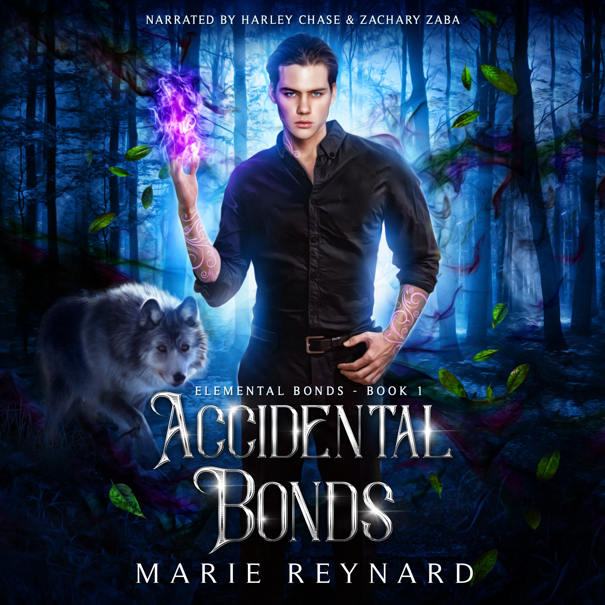 Accidental Bonds Audiobook - Model Cover