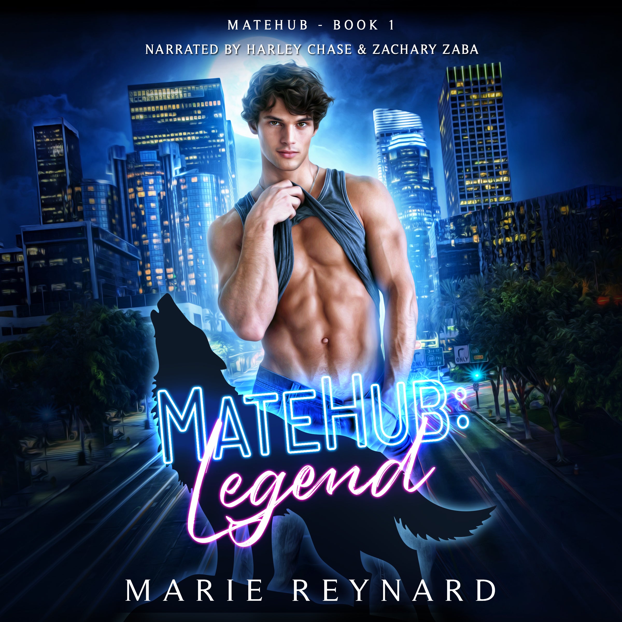 MateHub: Legend Audiobook - Model Cover