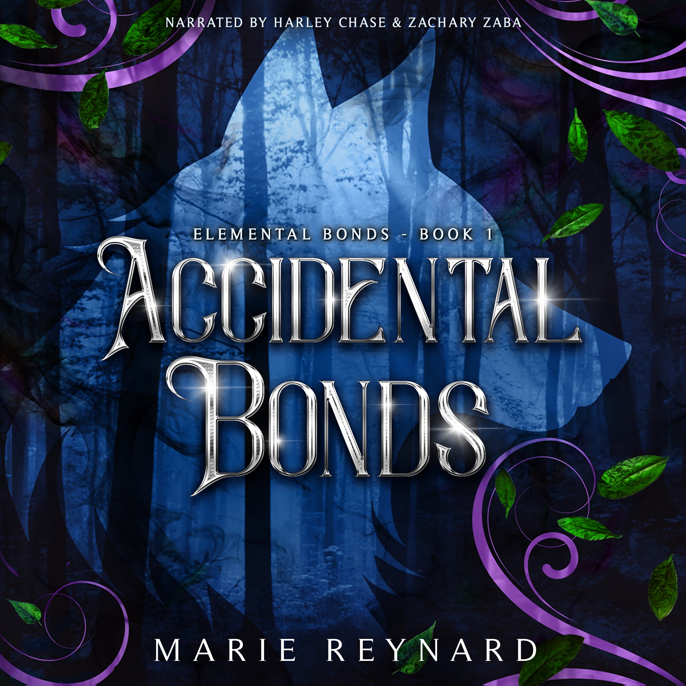Accidental Bonds Audiobook - Alternative Cover