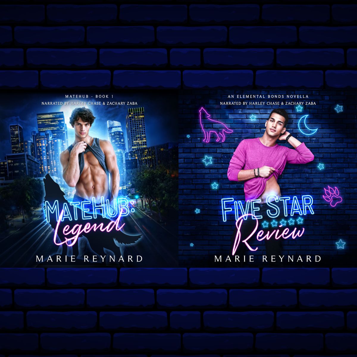 MateHub: Legend & Five Star Review Audiobook Bundle - Model Covers